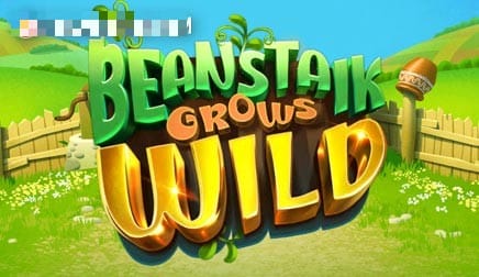 Beanstalk Grows Wild